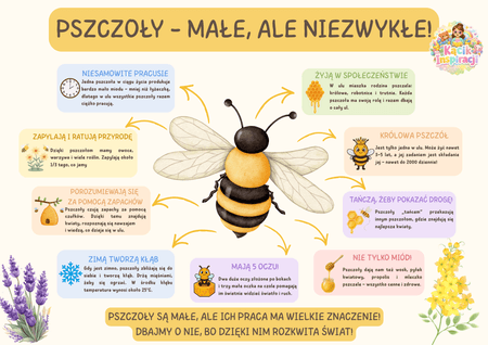 🐝 TAJEMNICE PSZCZÓŁ - PAKIET EDUKACYJNY 🌼